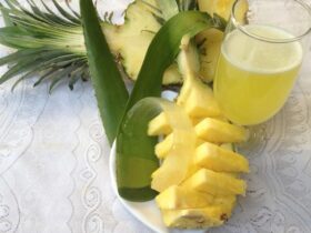 Pineapple and Aloe Vera